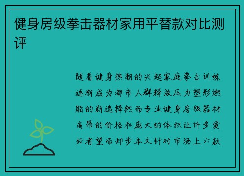 健身房级拳击器材家用平替款对比测评