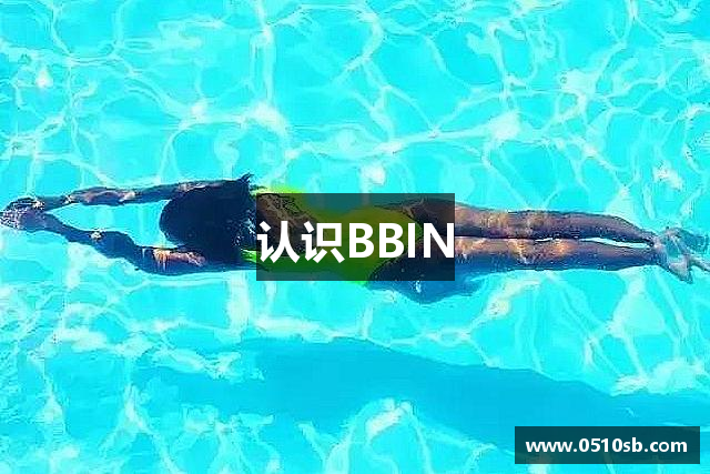 认识BBIN